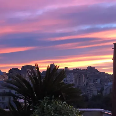 Panoramic & Exclusive